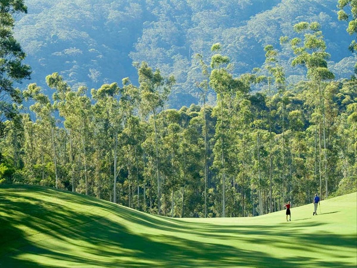 Bonville - East