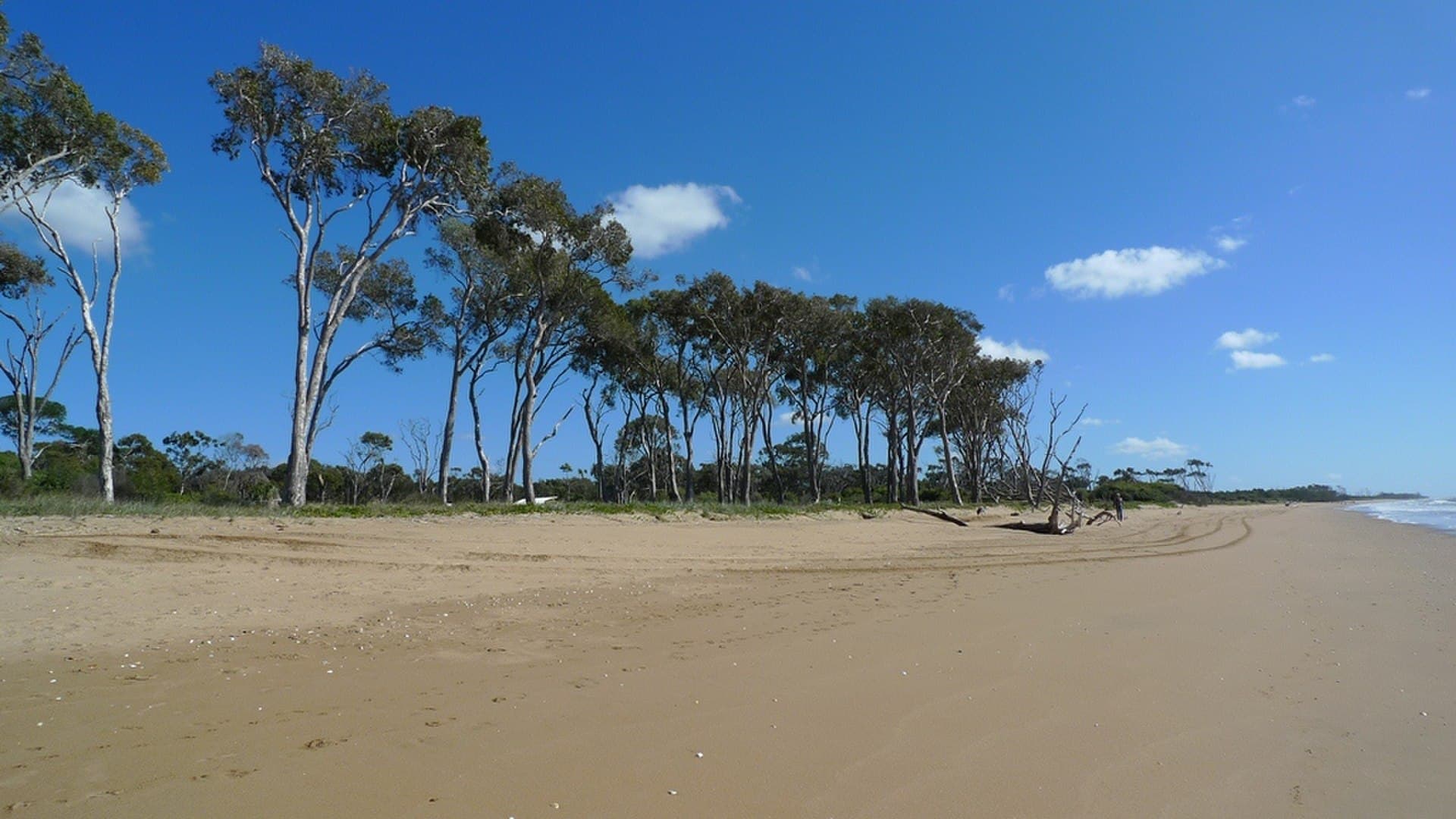 Moore Park