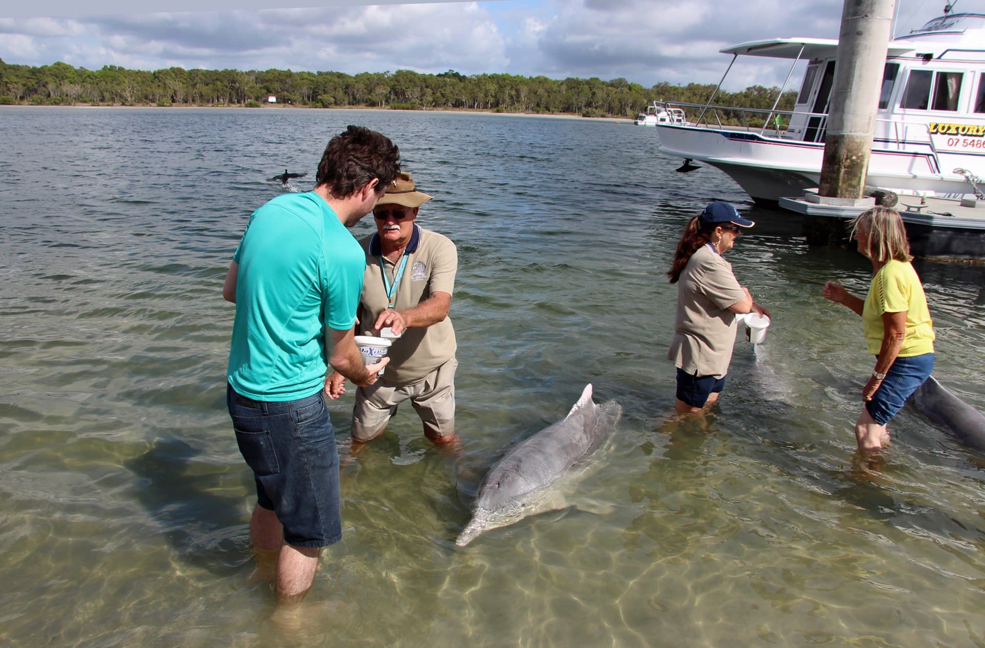 Tin Can Bay