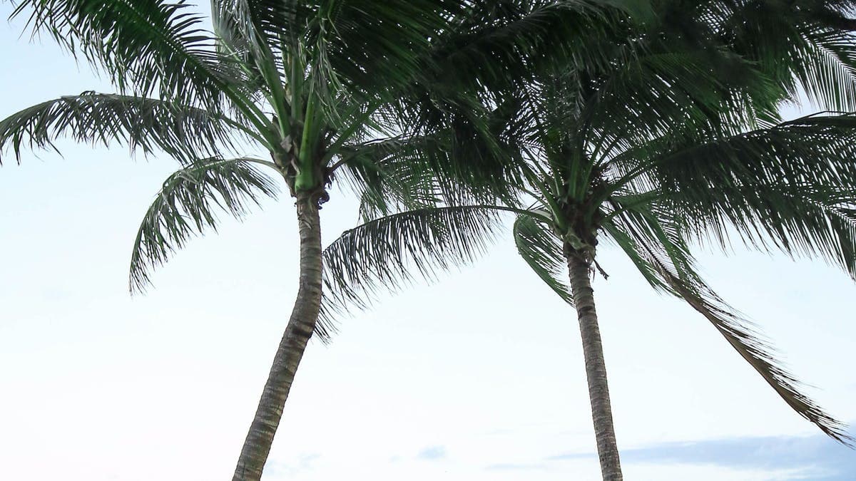 Is Taylors Beach, QLD a good place to live?