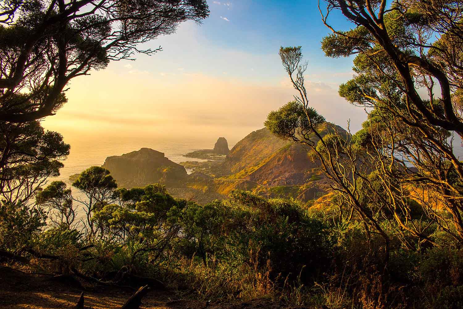 Is Cape Schanck, VIC a good place to live?||