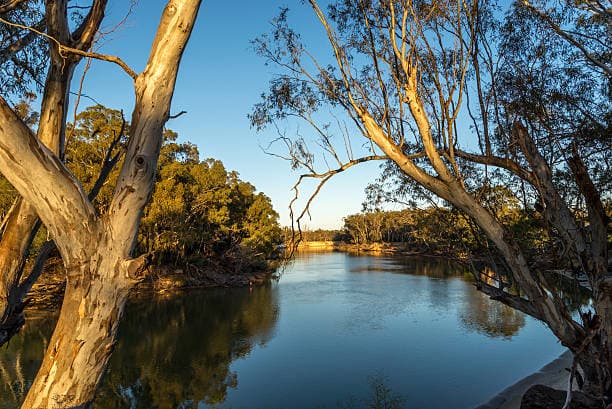 The Murray region