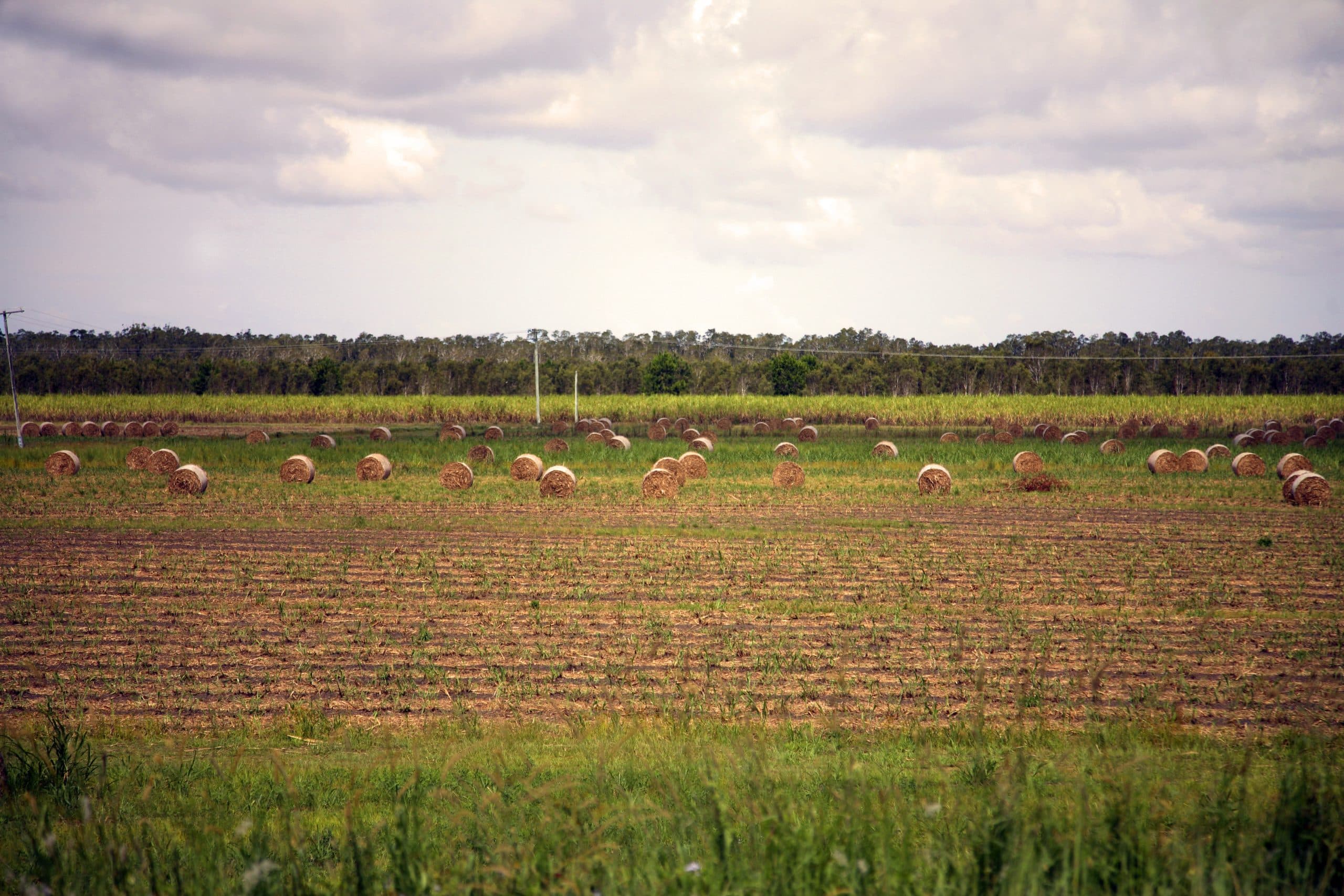Is Walligan, QLD a good place to live?|