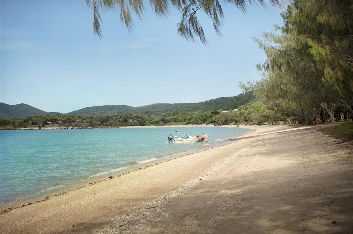 Dingo Beach