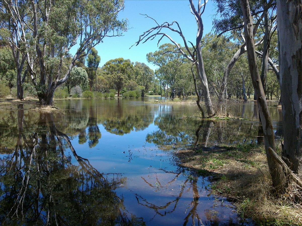 Mundulla