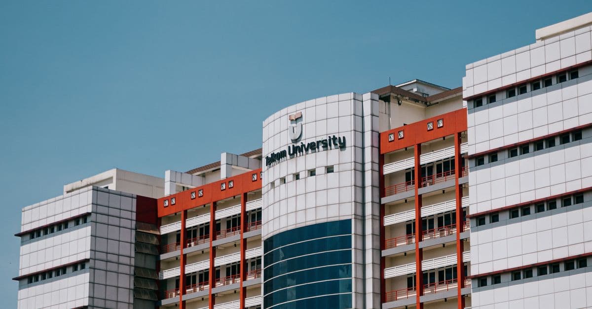 Teaching - Tertiary