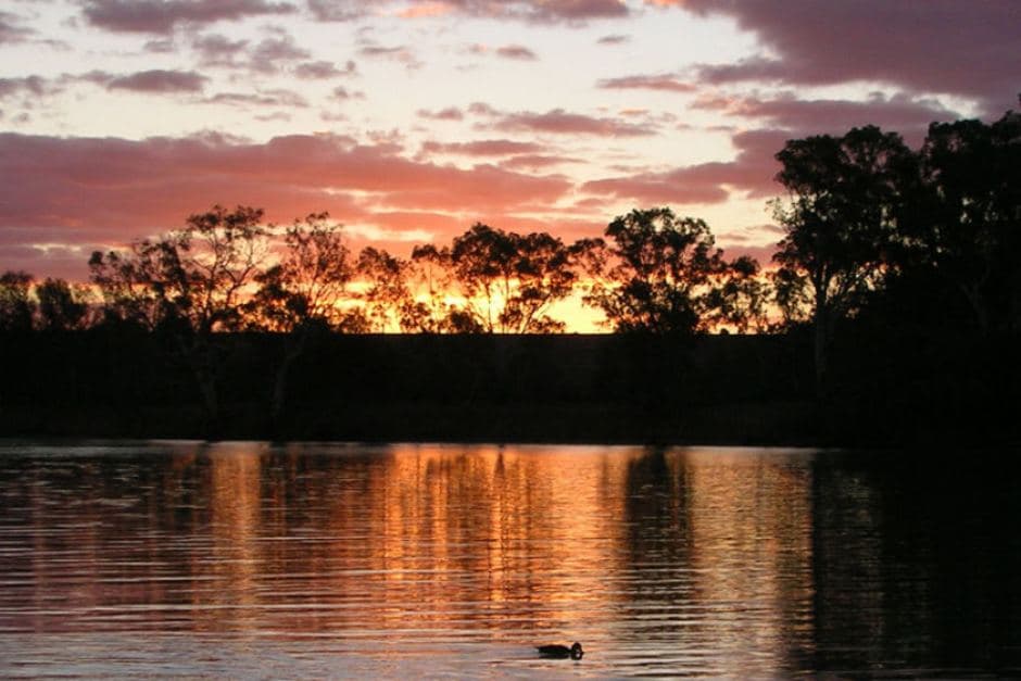 Swan Reach
